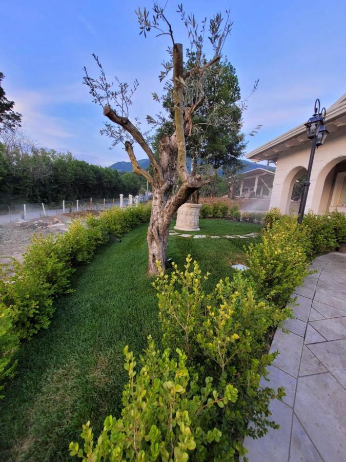 Tenuta Santo Stefano Azienda Agrituristica Santo Stefano del Sole Zewnętrze zdjęcie