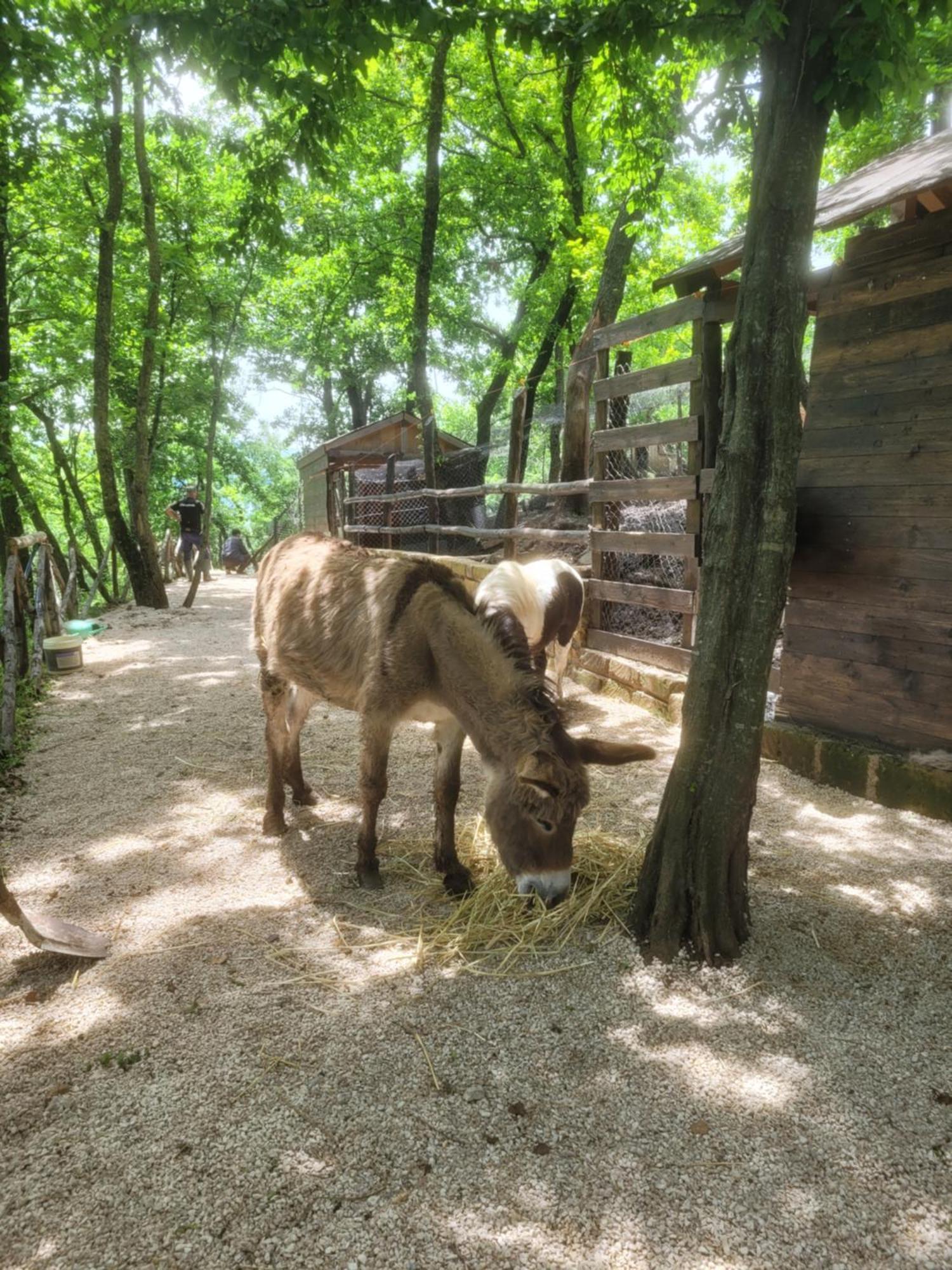 Tenuta Santo Stefano Azienda Agrituristica Santo Stefano del Sole Zewnętrze zdjęcie